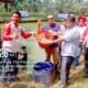 Desa Puo Raya Panen Perdana Ikan Patin, Perkuat Ketahanan Pangan dan Ekonomi Masyarakat