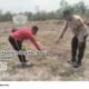 Petani Jagung Kasang Padang Didorong Produktif, Polsek Bonai Darussalam Perkuat Swasembada Pangan Nasional