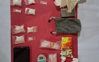 Polsek Kepenuhan Tangkap Pengedar Sabu, 15 Paket dengan Berat 40,04 Gram Disita