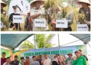 Pertanian Jadi Penggerak Ekonomi, Pemkab Rohul Perkuat Ketahanan Pangan