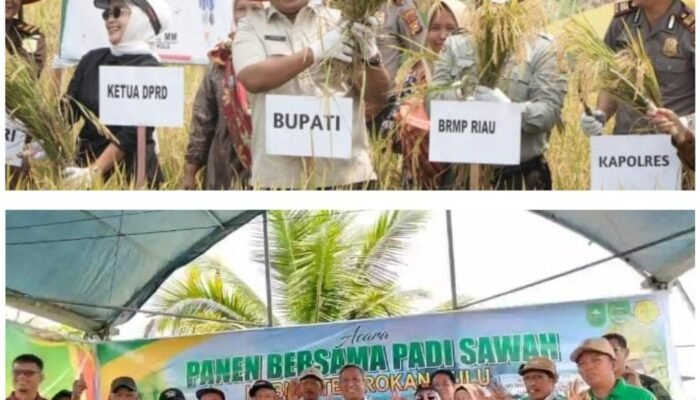 Pertanian Jadi Penggerak Ekonomi, Pemkab Rohul Perkuat Ketahanan Pangan