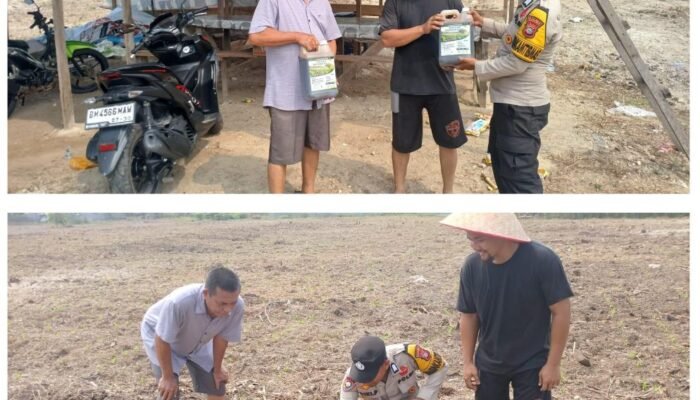 Polsek Tambusai Utara Jaga Asa Swasembada Pangan di tengah Kemarau