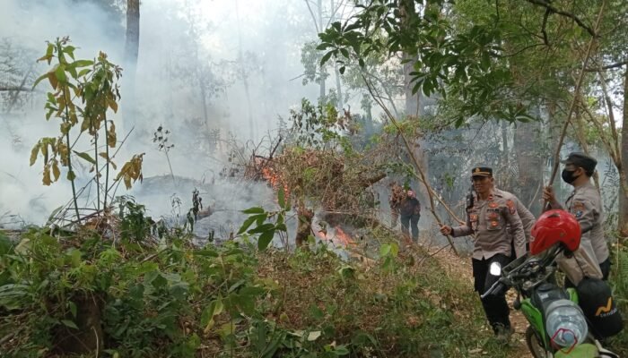 Tak Tunggu Api Meluas, Polisi Bersama Warga Langsung Tangani Karhutla di Petak 66