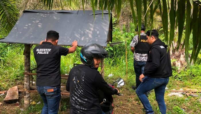 Polres Rohul Gelar Patroli Skala Besar, Temukan Lima Gubuk Diduga Jadi Tempat Penyalahgunaan Narkoba di Rambah