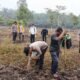 Polsek Tambusai Utara Tanam Jagung 1,5 Hektare Dukung Swasembada Pangan Nasional