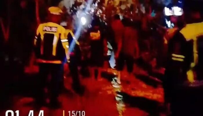 Pohon Tumbang Picu Kemacetan, Satlantas Rohul Pulihkan Arus Lalu Lintas