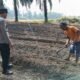 Polsek Kabun Dorong Ketahanan Pangan Nasional melalui Program POLIRAN