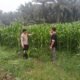 Polsek Tambusai Utara Perkuat Kemitraan dengan Petani, Dukung Ketahanan Pangan