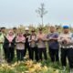 Polsek Rambah Hilir Kawal Panen Jagung, Dorong Akses Pasar Petani wujud ketahanan pangan 